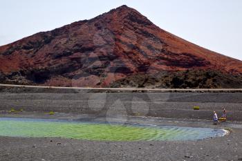 people dog stone  atlantic ocean sky  water lanzarote in el golfo  spain musk pond rock  coastline and summer 
