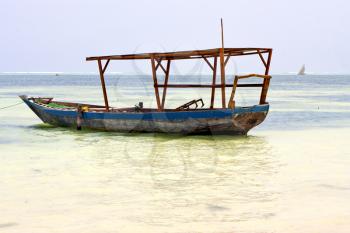 zanzibar beach  seaweed in indian ocean tanzania       sand isle   sky and boat
