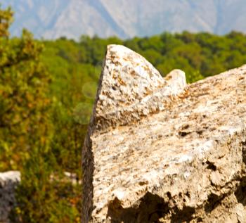  anatolia    from    the hill in asia turkey termessos old architecture and nature 