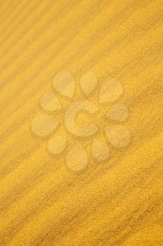 the brown sand dune in the sahara morocco desert 