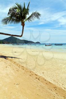 isle  asia in  kho phangan thailand bay   beach    rocks pirogue palm and south china sea 