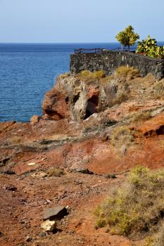 cactus chain hill coastline lanzarote  in spain musk pond beach  water   and summer 
