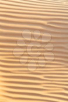 abstract texture line wave in oman the old desert  and the empty quarter blurred