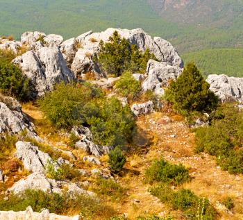  anatolia    from    the hill in asia turkey termessos old architecture and nature 