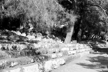  in phaselis temple turkey asia old ruined column and destroyed stone