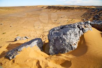  old fossil in  the desert of morocco sahara and rock  stone    sky