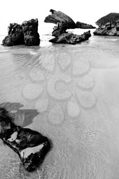  relax near sky in oman coastline sea ocean  gulf rock and beach