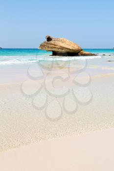  relax near sky in oman coastline sea ocean  gulf rock and beach