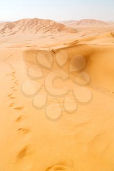 the empty quarter and outdoor  sand dune in oman old desert rub al khali 