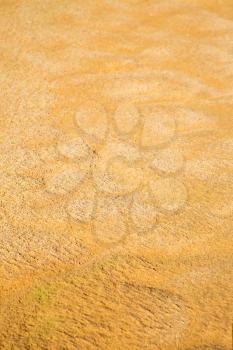 the brown sand dune in the sahara morocco desert 