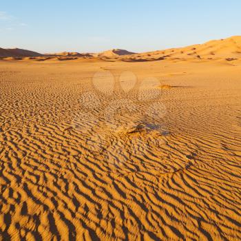 the empty quarter  and outdoor  sand  dune in oman old desert rub   al khali 