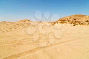 the empty quarter  and outdoor     sand   dune in oman old desert rub   al khali 