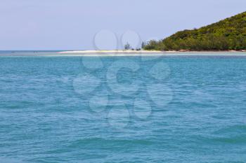  south china sea thailand kho phangan  bay  coastline of a green lagoon and tree 
