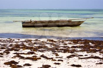 relax  of zanzibar  africa coastline boat pirague in the  blue lagoon 
