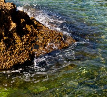  relax near sky in oman coastline sea ocean  gulf rock and beach