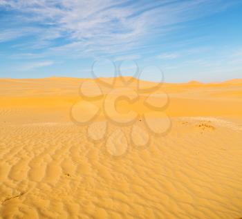 the empty quarter and outdoor  sand dune in oman old desert rub al khali 