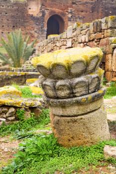 chellah  in morocco africa the old roman deteriorated monument and site
