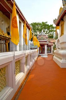 kho samui bangkok in thailand incision of the buddha gold    temple