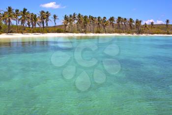 blue      in mexico froath and blue  foam  the sea drop sunny day  wave