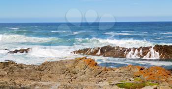  blur  in south africa   sky ocean   tsitsikamma reserve nature and rocks
