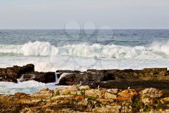  blur  in south africa   sky ocean    tsitsikamma reserve nature and rocks
