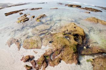 blur in south africa   sky ocean  de hoop reserve nature and rocks