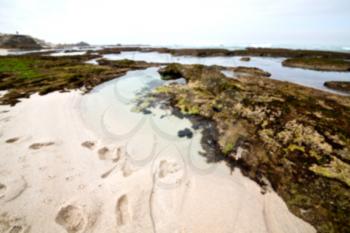 blur in south africa   sky ocean  de hoop reserve nature and rocks