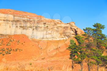 blur   in south africa valley of desolation dirty road rock tree and sky