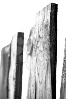 blur in  south africa   abstract wood closeup like background texture