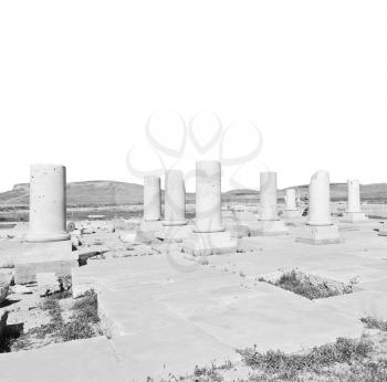  in iran   pasargad the old construction  temple and grave column
