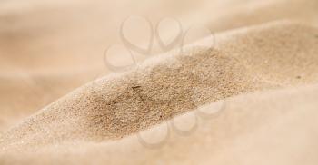 in south africa close up of the coastline beach abstract sand texture background