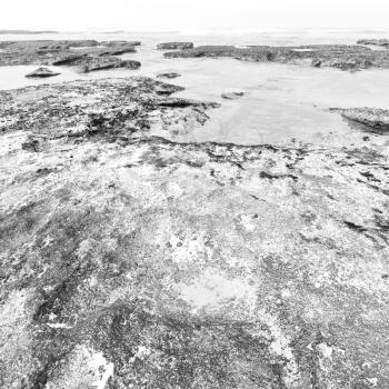 blur in south africa   sky ocean  de hoop reserve nature and rocks