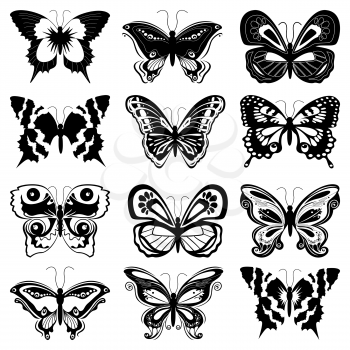 Set of twelve black butterfly silhouettes on a white background, hand drawing vector illustration