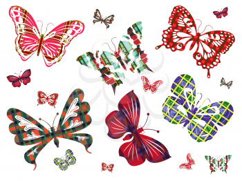 Six different large butterflies with Celtic ornaments and several of their smaller versions on a white background. Hand drawing vector illustration