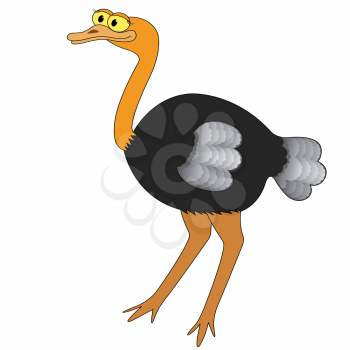 Ostrich isolated on white background. Hand drawing cartoon vector illustration