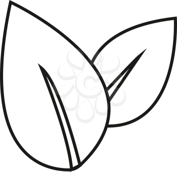 simple thin line leaf herbal icon vector