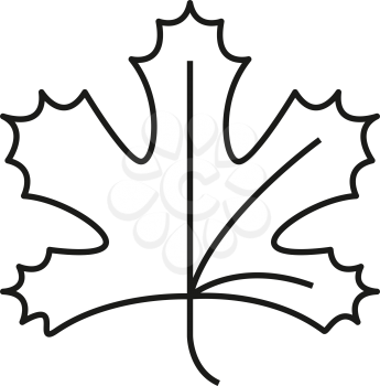 Simple thin line maple leaf icon vector