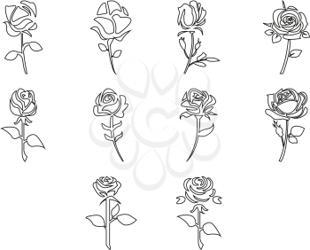 collection of rose icon vector