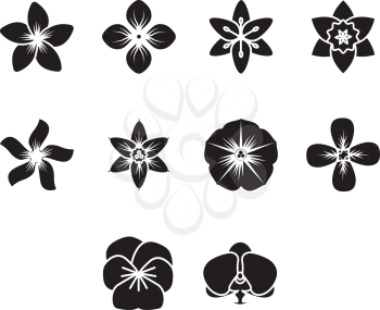 collection of flower icon vector