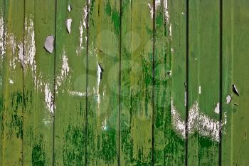 The Dirty, stained by a paint the hammered together fence