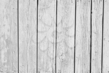 The  Vector Vintage  White Background Wood Wall