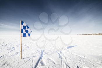 The Flags on the background of winter sky