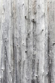 Natural Dark Wooden Background. Timber wall