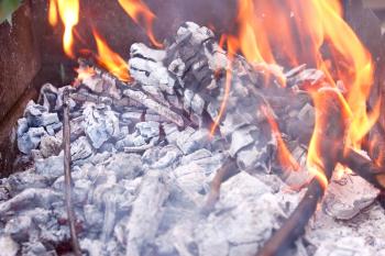 Burning firewood in rusty metal tank with ashes and flames close-up