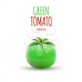 Green Tomato isolated on white Background. Vector illustration