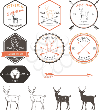 Set of vintage deer icons, emblems and labels. Vector Illustration