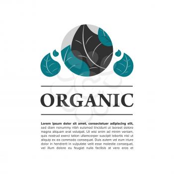 Organic food banner with leaves on white background