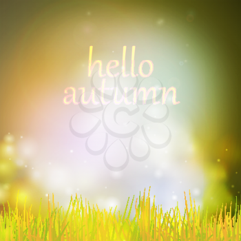 Autumn or summer abstract nature background with grass and sky in the back