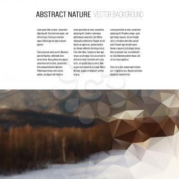 Business template for brochure, magazine, flyer, booklet or annual report. Abstract colorful polygonal backdrop, blurred background, mountain landscape, modern stylish triangle vector texture.
