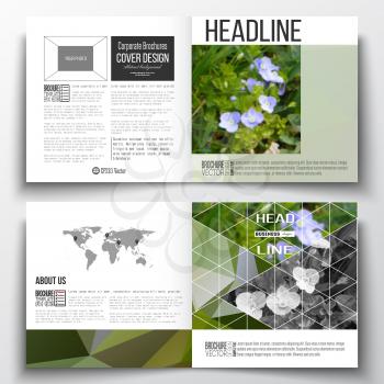 Vector set of square design brochure template. Polygonal floral background, blurred image, blue flowers in green grass closeup, modern triangular texture.